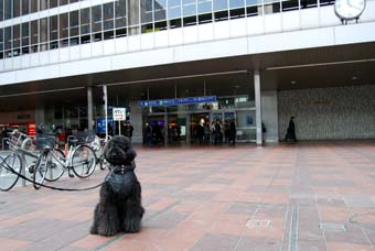 DSC_0051_080214.jpg