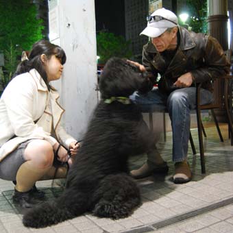 DSC_0208_080421.jpg