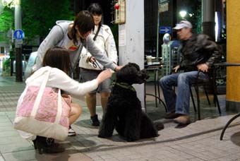 DSC_0211_080421.jpg
