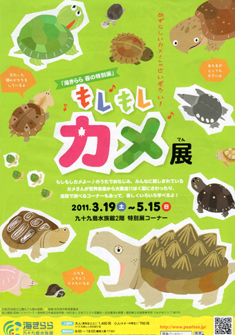 もしもしカメ展.jpg