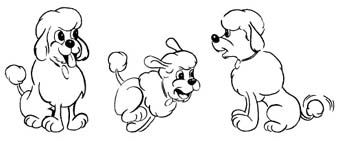 Poodle1.jpg