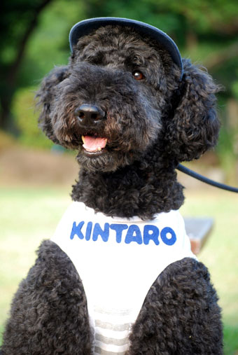 kintaro_DSC_0350a.jpg