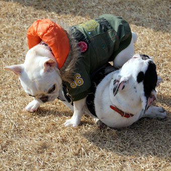 120114_IMG_4698.jpg