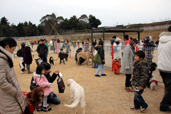 120115_IMG_4824.jpg
