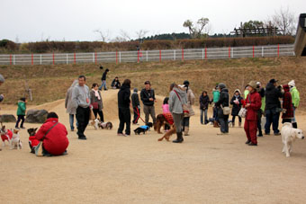 120115_IMG_4833.jpg