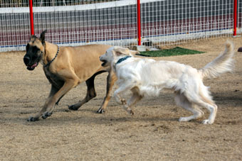 120128_IMG_5367.jpg