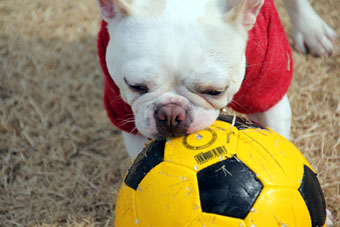 120129_IMG_5519.jpg