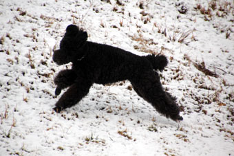 120204_IMG_5753.jpg