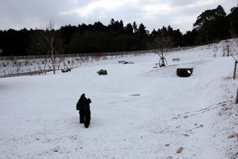 120204_IMG_5772.jpg