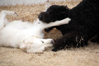 120204_IMG_5787.jpg