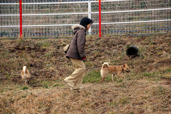 120205_IMG_5905.jpg