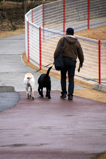 120205_IMG_5994.jpg