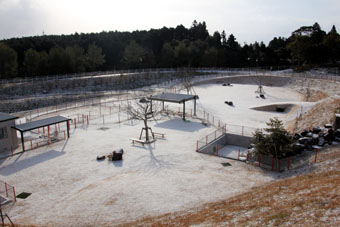 120208_IMG_6010.jpg