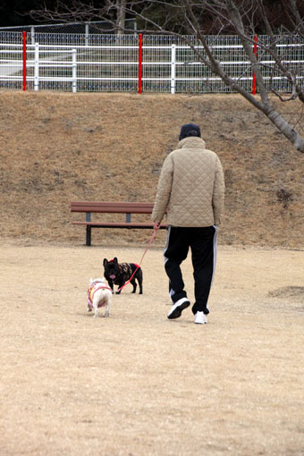 120208_IMG_6031.jpg