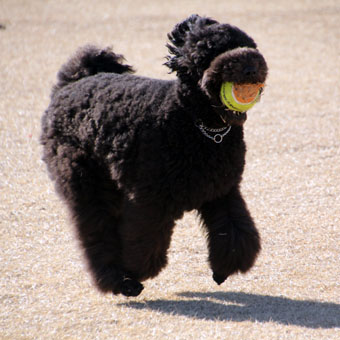 120212_IMG_6130.jpg