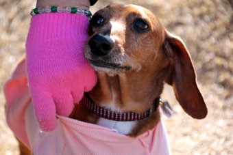 120212_IMG_6143.jpg