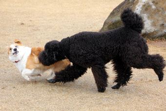 120215_IMG_6261.jpg