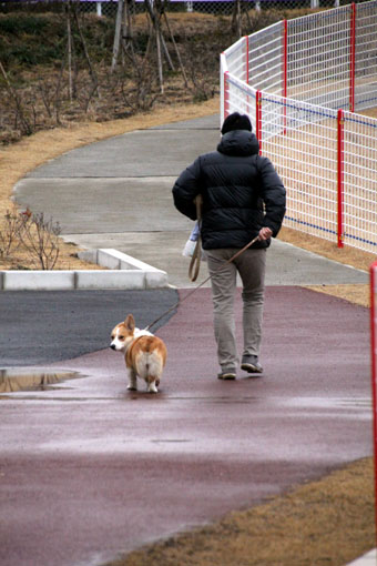 120215_IMG_6286.jpg