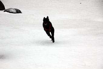 120219_IMG_6523.jpg
