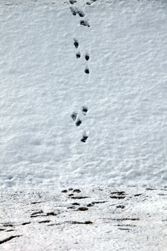 120219_IMG_6580.jpg