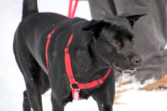 120219_IMG_6605.jpg