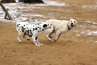 120219_IMG_6741.jpg