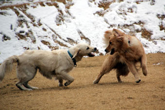 120219_IMG_6821.jpg
