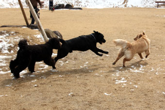 120219_IMG_6826.jpg
