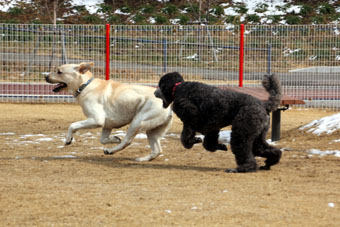120219_IMG_6861.jpg