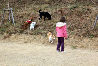 120226_IMG_7300.jpg