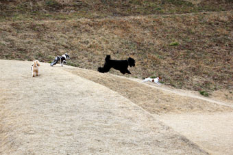 120226_IMG_7397.jpg