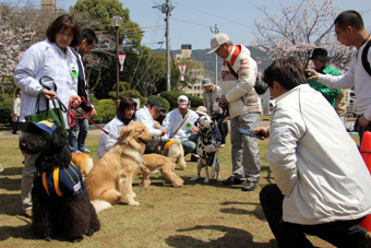 120331_IMG_8804.jpg
