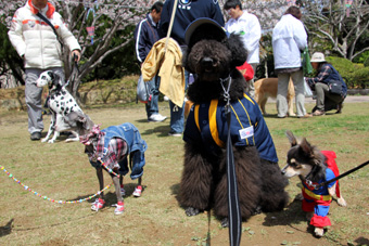120331_IMG_8823.jpg