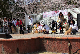 120331_IMG_8854.jpg