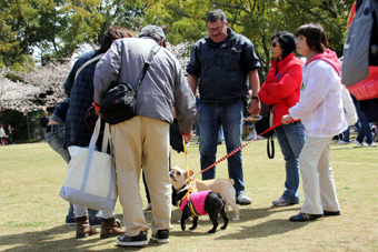 120331_IMG_8858.jpg