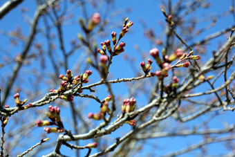 120401_IMG_8915.jpg